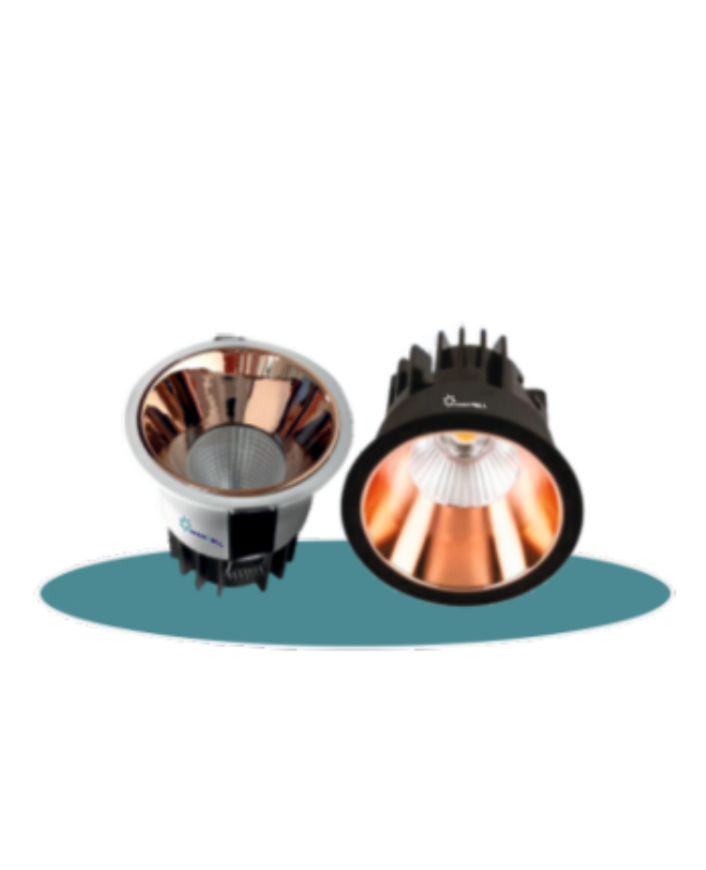 Adjustable Panel Light